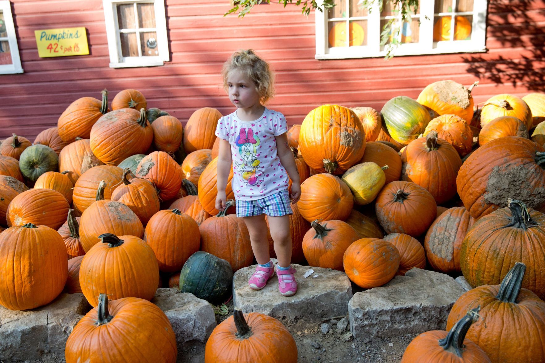Vala’s Pumpkin Patch